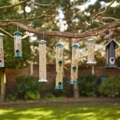 SIENA GARDEN Für Mischfutter Vogelfuttersäule Iron Line 12 SIENA GARDEN Für Mischfutter Vogelfuttersäule Iron Line -Siena Garden 0bc20017 20fd 4248 99b5 f8f3d7993618