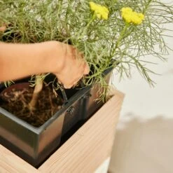 Belina Box M -Siena Garden 0dd6ba1f a29c 43f2 8dae 4601b2c5cb26