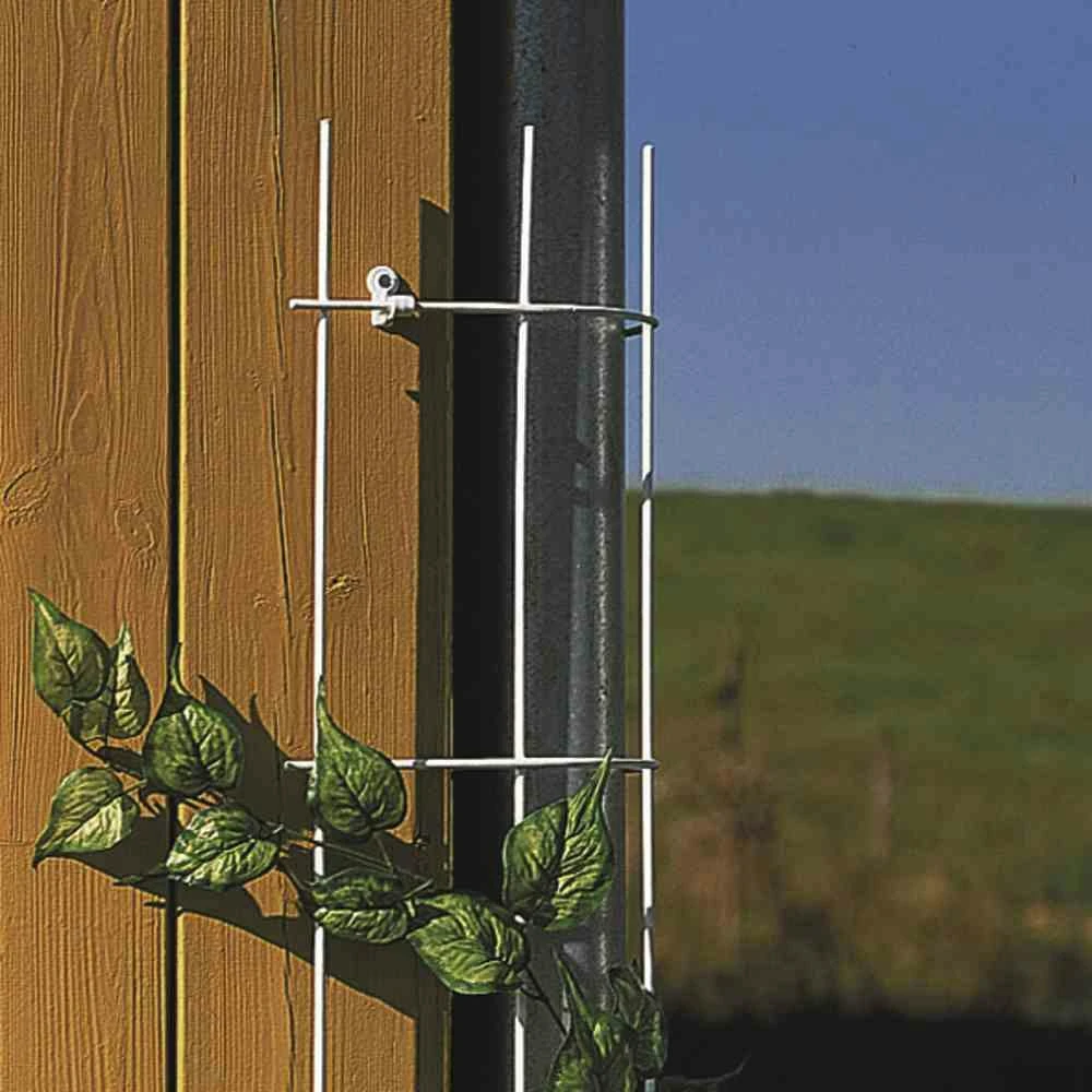 SIENA GARDEN Fallrohrgitter Fallrohrgitter 150 Cm Hamm 1 SIENA GARDEN Fallrohrgitter Fallrohrgitter 150 Cm Hamm