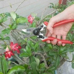 SIENA GARDEN 6-KS Premium Premium Alu-Bypassschere -Siena Garden 0ee9135d 622a 421e 9196 4b6a78458dd6