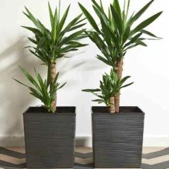 SIENA GARDEN Biron Pflanzgefäß Biron, Graphit Rillenoptik, 25x25x26 Cm -Siena Garden 13783e1d fcec 4ab6 9ef6 d4b3005001be