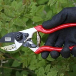 SIENA GARDEN CG1090 Premium Premium Ambossschere 12 SIENA GARDEN CG1090 Premium Premium Ambossschere -Siena Garden 2189faee 4284 4712 9d8a 6edc30b2bb27