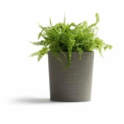 SIENA GARDEN ECO Lens Pflanzgefäß ECO Lens, Grau -Siena Garden 31f95f8b fb1b 4f26 b31f 88ea54c6c54c