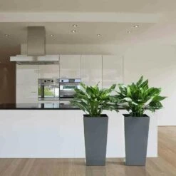 SIENA GARDEN Lyon Pflanzgefäß Lyon, Anthrazit Hochglanzoptik, 35x35x68 Cm -Siena Garden 32e85f1b d021 4ca6 8f86 655995af5399