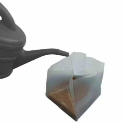 SIENA GARDEN Saatset BBQ Dill, Thymian, Chilli 80515 13 SIENA GARDEN Saatset BBQ Dill, Thymian, Chilli 80515 -Siena Garden 3808a4c2 1c18 43ce b221 da5d064344a0