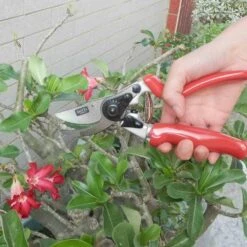 SIENA GARDEN 7-RG Premium Premium Alu-Bypassschere -Siena Garden 4136020d 562b 4b29 a98b 0cd84db58ee0