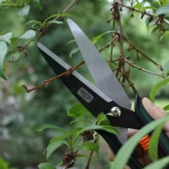 SIENA GARDEN Formschnitt- Und Schafschere Formschnitt- Und Schafschere CB2120 -Siena Garden 420a1704 d50c 4046 9d25 369a758e1d6e