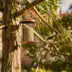 SIENA GARDEN Für Nüsse Copper Line Vogelfuttersäule Copper Line -Siena Garden 455b0cc0 746d 4fa2 863c e6ea6611e521