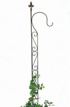 SIENA GARDEN Rankgitter, Metall Anthrazit, Unterverzinkt -Siena Garden 4801db00 8d67 44f2 8e11 6dbc35bee21c 1