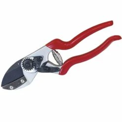 SIENA GARDEN CG1090 Premium Premium Ambossschere