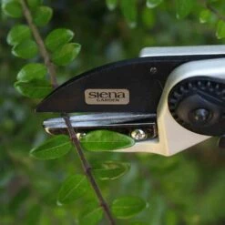 SIENA GARDEN CG1090 Premium Premium Ambossschere 13 SIENA GARDEN CG1090 Premium Premium Ambossschere -Siena Garden 55cc1a06 e29a 4cbf 9b30 7d487b1c8805