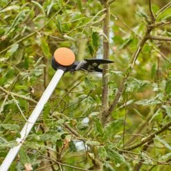 SIENA GARDEN Baumschere CT2000 Baumschere CT2000 12 SIENA GARDEN Baumschere CT2000 Baumschere CT2000 -Siena Garden 5b152318 0584 4259 88af 75aeb3a15626