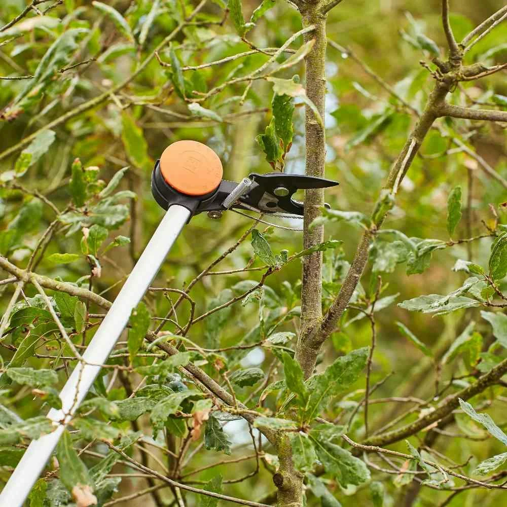 SIENA GARDEN Baumschere CT2000 Baumschere CT2000 6 SIENA GARDEN Baumschere CT2000 Baumschere CT2000 – Bild 6