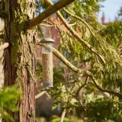 SIENA GARDEN Für Nüsse Vogelfuttersäule Iron Line 12 SIENA GARDEN Für Nüsse Vogelfuttersäule Iron Line -Siena Garden 5d574373 2a02 4128 94c7 c2934fd9d8b6