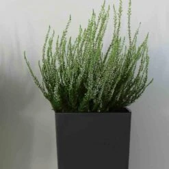 SIENA GARDEN Brest Pflanzgefäß Brest, Anthrazit Hochglanzoptik, 25x25x26 Cm 12 SIENA GARDEN Brest Pflanzgefäß Brest, Anthrazit Hochglanzoptik, 25x25x26 Cm -Siena Garden 689eecc5 4b6a 4357 93ed dd13c4b1a2d2