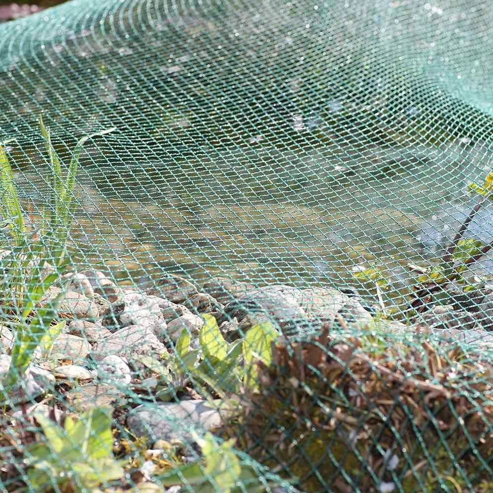 SIENA GARDEN Teichabdecknetz 6x5m 2 SIENA GARDEN Teichabdecknetz 6x5m – Bild 2