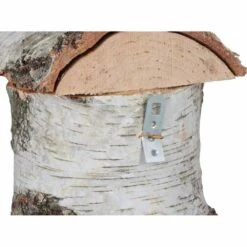 SIENA GARDEN Nistkasten Birke 28 Mm 050 12 SIENA GARDEN Nistkasten Birke 28 Mm 050 -Siena Garden 719e9b98 c678 400e 82a8 e4667309e93f