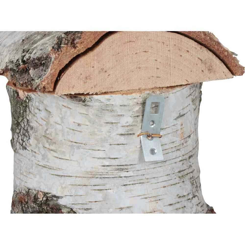SIENA GARDEN Nistkasten Birke 28 Mm 050 6 SIENA GARDEN Nistkasten Birke 28 Mm 050 – Bild 6