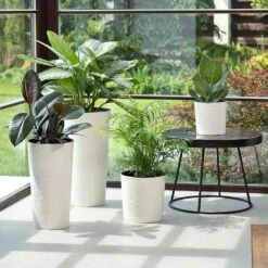 SIENA GARDEN Lens Pflanzgefäß Lens, Weiß Rillenoptik, Ø30x30,5 Cm -Siena Garden 75b4e6aa 563f 42e5 952c abed0f7bd902