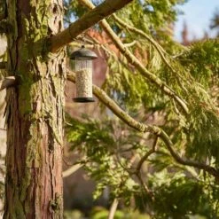 SIENA GARDEN Für Nüsse Vogelfuttersäule Steel Line -Siena Garden 79f86d8d 514b 43e5 a667 f0da32f37601