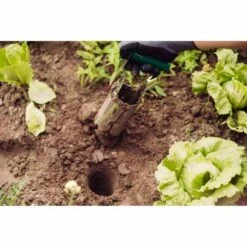 SIENA GARDEN Blumenzwiebelpflanzer Blumenzwiebel Pflanzautomat, 12 SIENA GARDEN Blumenzwiebelpflanzer Blumenzwiebel Pflanzautomat, -Siena Garden 7ea97dec 1a0b 49fa a56d 0b3c165c666f