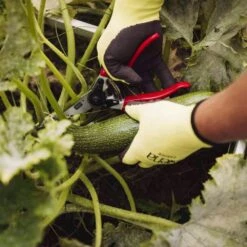 SIENA GARDEN 8-EG Premium Premium Alu-Bypassschere -Siena Garden 84681da7 d978 4138 8a9f 83ba7c9ca89e