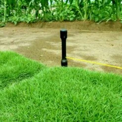 SIENA GARDEN Pflanzleine -Siena Garden 89446769 020d 4a1f a2c7 88f2ca23fdcb