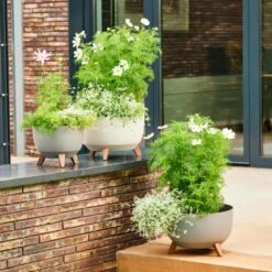 ECO Pflanzgefäß OSLO Beige 47 Cm 12 ECO Pflanzgefäß OSLO Beige 47 Cm -Siena Garden 8ef89b5c dbc2 4fad a44b a7483e98b668