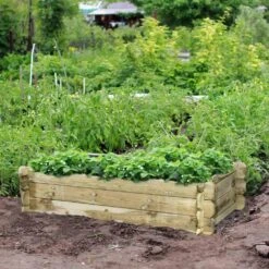 SIENA GARDEN Hochbeet Tom Hochbeet Tom, 120x60x30 Cm -Siena Garden 9050ba20 251b 4a02 b46b 28123c1434e0 1