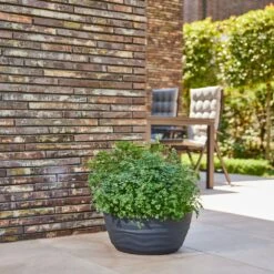 Pflanzschale MADRID 38 Anthrazit -Siena Garden 9c0f9e12 353b 4f31 817b 721788e07e55