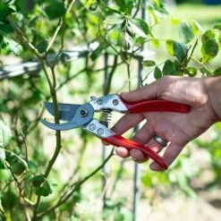 SIENA GARDEN CG1030 Premium Premium Bypassschere CG1030, Antihaftbeschichtete Klingen -Siena Garden 9f6ecca2 4e6d 47d9 9f0c 266f028acfce