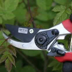 SIENA GARDEN Schneideflink Gartenschere Schneideflink -Siena Garden a1eebf51 faa3 4833 a4f0 a22ef3ad4d89