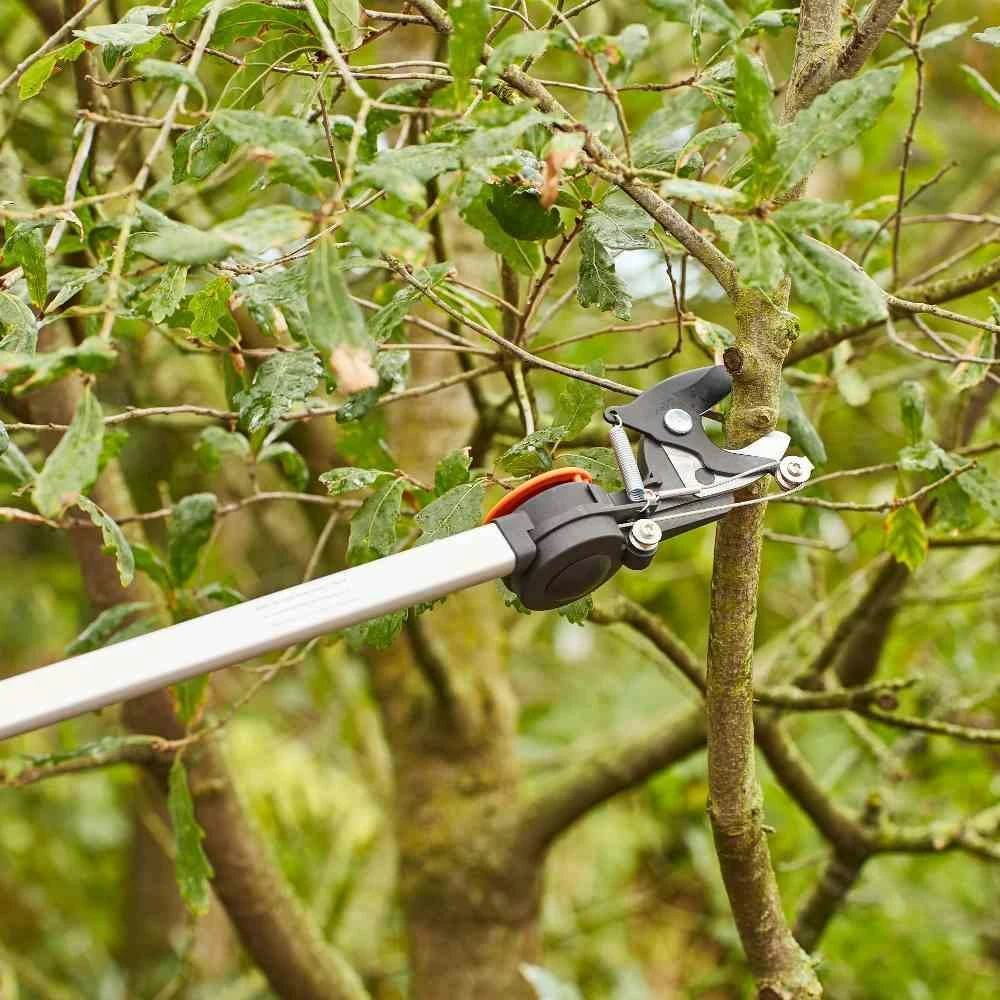 SIENA GARDEN Baumschere CT2000 Baumschere CT2000 7 SIENA GARDEN Baumschere CT2000 Baumschere CT2000 – Bild 7