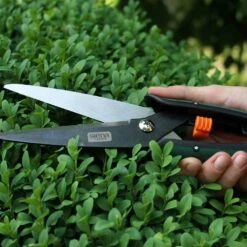 SIENA GARDEN Formschnitt- Und Schafschere Formschnitt- Und Schafschere CB2120 -Siena Garden a63476bc 559b 41db 96cb 7218d7917eb4