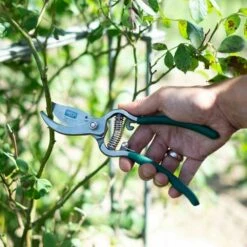 SIENA GARDEN CG2080 Bypassschere CG2080 -Siena Garden afca8171 5297 4544 96d0 967ef03a3bde