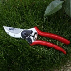 SIENA GARDEN 2-SF Premium Premium Bypass Schere -Siena Garden b33bb1aa 7b51 4a6d 8982 64601fff715f