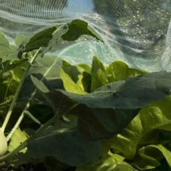 SIENA GARDEN Insektenschutznetz Insektennetz 5 X 2 M Im Tragebeutel Mit Etikett -Siena Garden bb7d9c98 eb2b 4a28 9a26 5f8894b78448