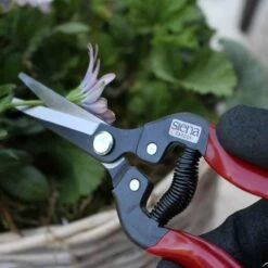 SIENA GARDEN CG1010 Premium Premium Lese-, Ernte- Und Blumenschere -Siena Garden be4dcce4 699e 43e4 803a cc0228d833ea