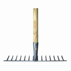 SIENA GARDEN Rasenrechen Rasenrechen 32 Zinken 60cm -Siena Garden bfdb9895 efb1 4951 b9fe f471511e29b9 4