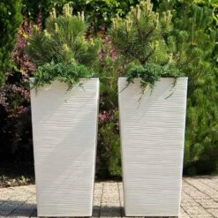 SIENA GARDEN Nizza Pflanzgefäß Nizza, Weiß Rillenoptik, 30x30x57 Cm 12 SIENA GARDEN Nizza Pflanzgefäß Nizza, Weiß Rillenoptik, 30x30x57 Cm -Siena Garden c0be104f 5df6 4e11 b1f6 c16bf32f28f3