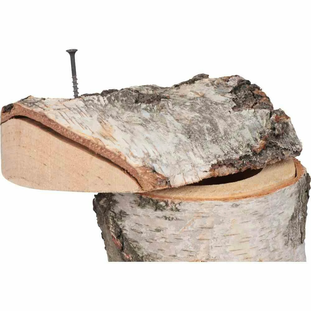 SIENA GARDEN Nistkasten Birke 28 Mm 050 7 SIENA GARDEN Nistkasten Birke 28 Mm 050 – Bild 7