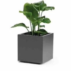 Pflanzkübel Ella 40 -Siena Garden d28af672 694c 4716 b4a7 498859b9c621 1