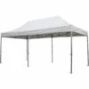 SIENA GARDEN Pro Pro Faltpavillon 300x600 Cm