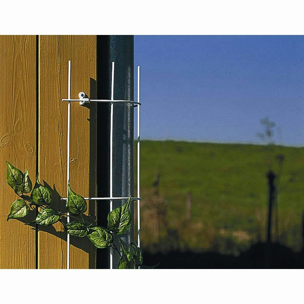 SIENA GARDEN Fallrohrgitter Fallrohrgitter 150 Cm Hamm 2 SIENA GARDEN Fallrohrgitter Fallrohrgitter 150 Cm Hamm – Bild 2