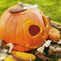 SIENA GARDEN CK3200 ClassicLine Okuliermesser ClassicLine Mit Genieteten Holzgriffen -Siena Garden e9c992d3 7654 4d43 b040 5f7b673723fd