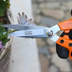 SIENA GARDEN CG2060 Garten- Und Blumenschere -Siena Garden ee69ce81 ac53 4d22 9780 0e71b1a715a2