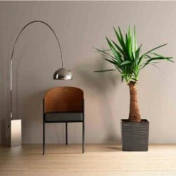 SIENA GARDEN Biron Pflanzgefäß Biron, Graphit Rillenoptik, 30x30x31 Cm -Siena Garden ef8a079d 8012 471b 8527 644d2c85e875