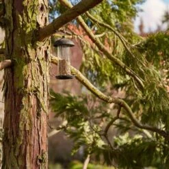 SIENA GARDEN Für Mischfutter Vogelfuttersäule Steel Line -Siena Garden f35fac0b a23d 4605 990f 39e934a31efb